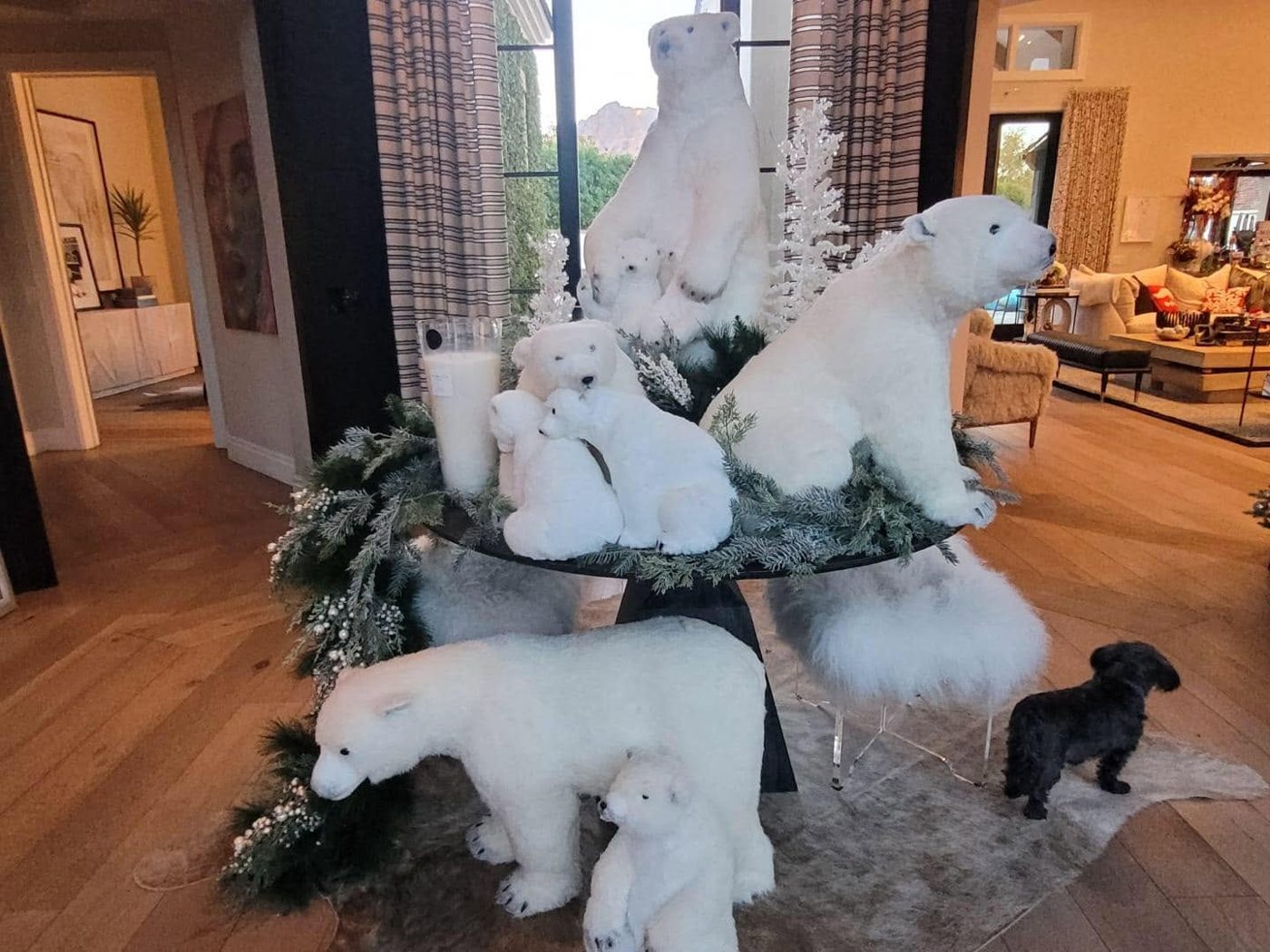 Polar bear display